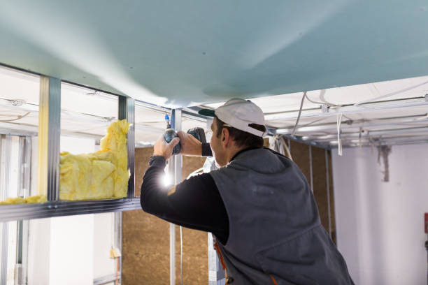 Best Spray Foam Insulation in Timberline Fernwood, AZ