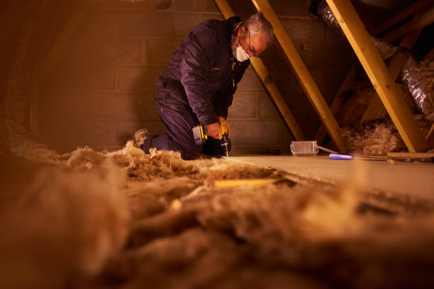 Best Spray Foam Insulation in Timberline Fernwood, AZ